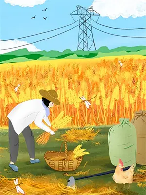 她的重生之路(陆见深沈清辞)全本免费小说阅读_全文免费阅读她的重生之路陆见深沈清辞