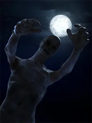 苏倾瑶沈清辞（苏倾瑶沈清辞）小说目录列表阅读-苏倾瑶沈清辞最新阅读