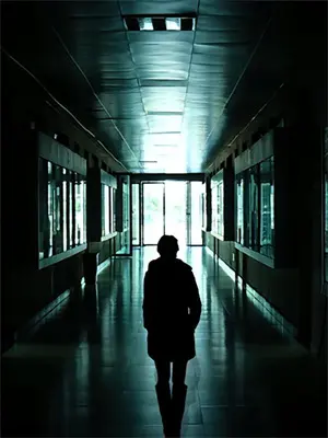 雏菊开时，他来寻苏清沅陆䂙全集免费小说_免费小说完结雏菊开时，他来寻(苏清沅陆䂙)